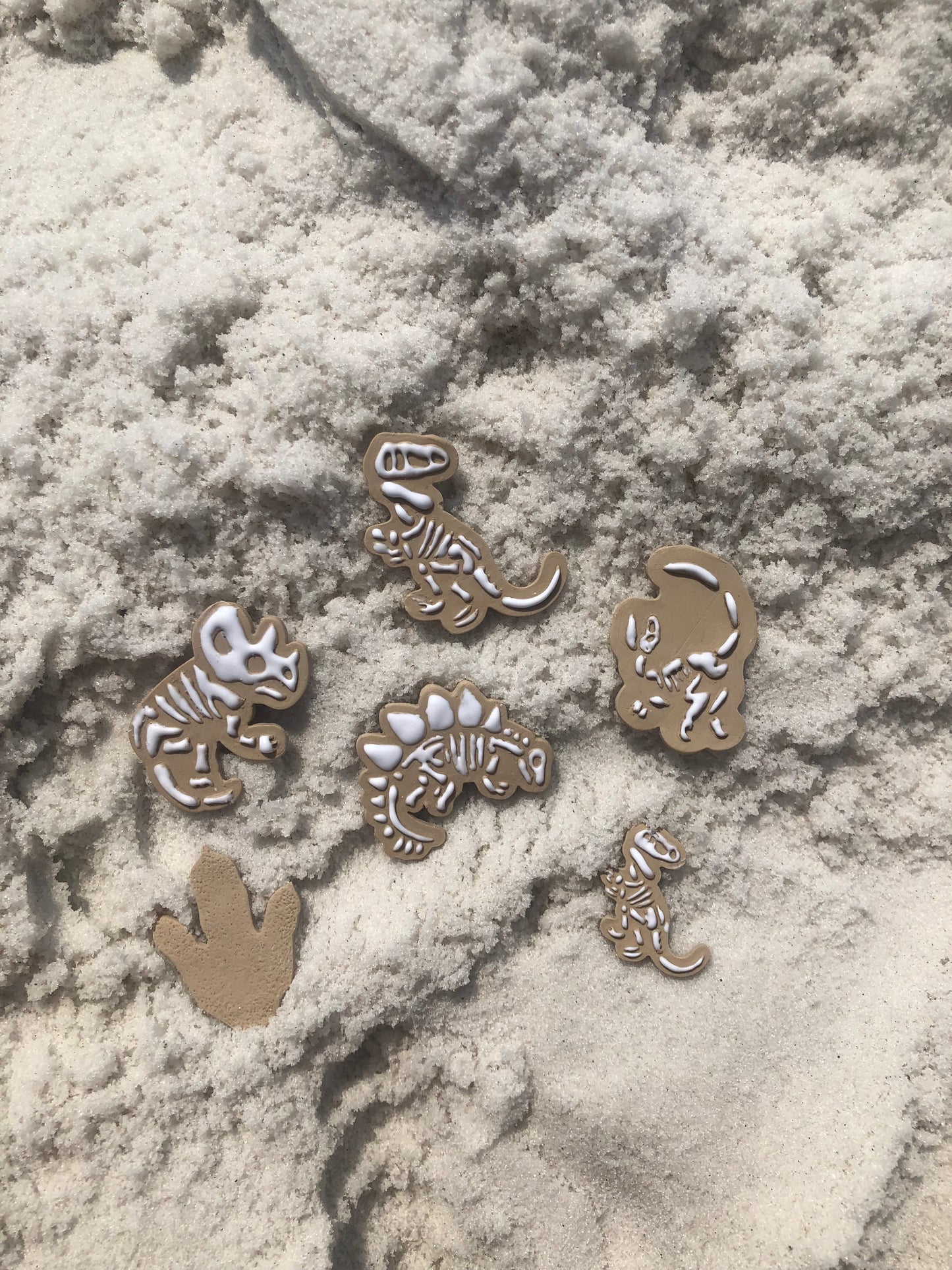 Dino Fossil Excavation Pack