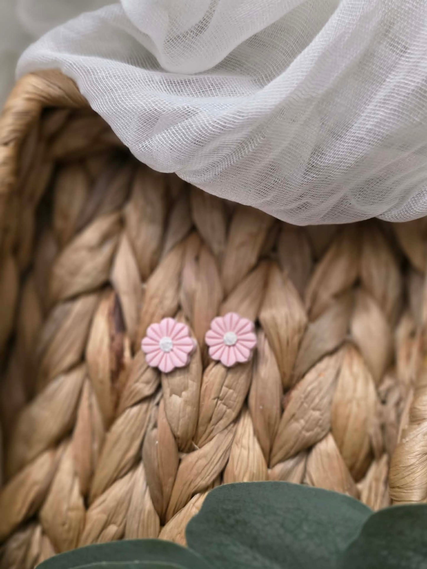Pink Daisy