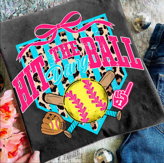Hit the Dang Ball (Softball)