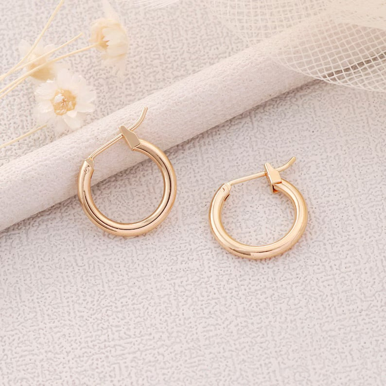 Small Gold Hoops