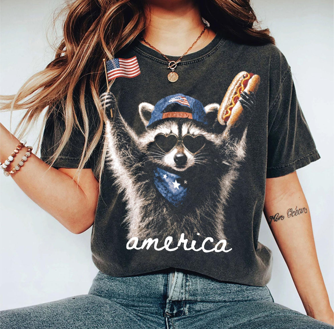 Raccoon America